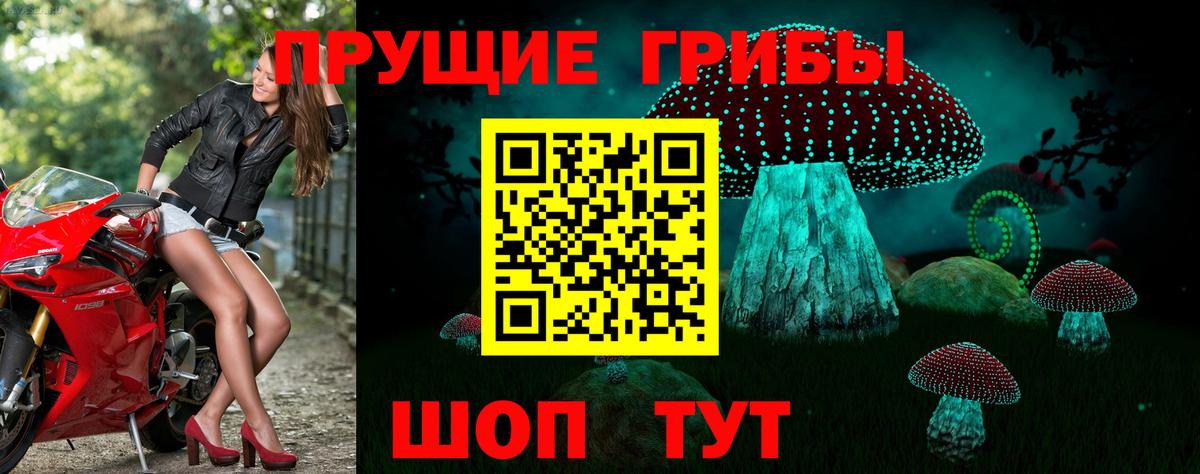 Псилоцибиновые грибы GOLDEN TEACHER  Вход с VPN  Галлюциногенные грибы MAGIC MUSHROOMS  Моздок 